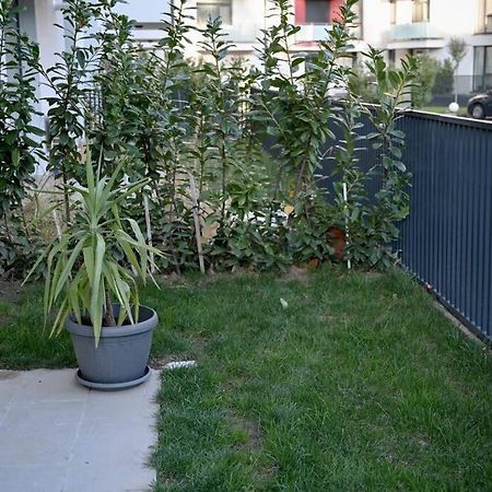 #Minehouse Apartment ทิมิชัวรา ภายนอก รูปภาพ