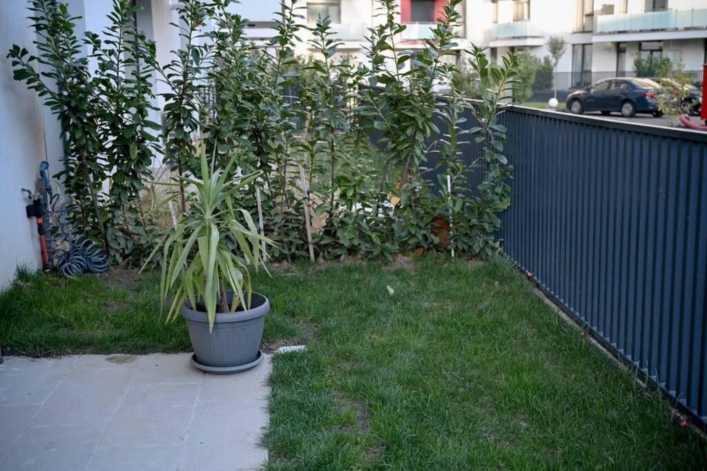 #Minehouse Apartment ทิมิชัวรา ภายนอก รูปภาพ