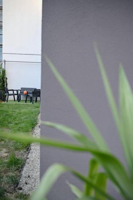 #Minehouse Apartment ทิมิชัวรา ภายนอก รูปภาพ